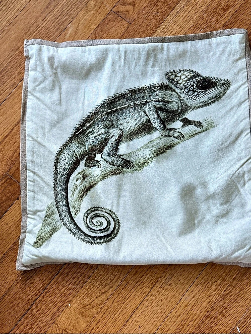 Fun Lizard Accent Pillow Cover with Beading in White & Pale green on cotton